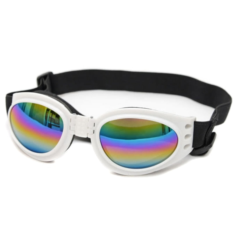 Dog Protection Goggles