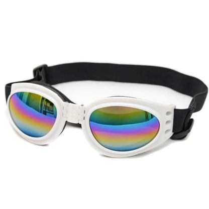 Dog Protection Goggles