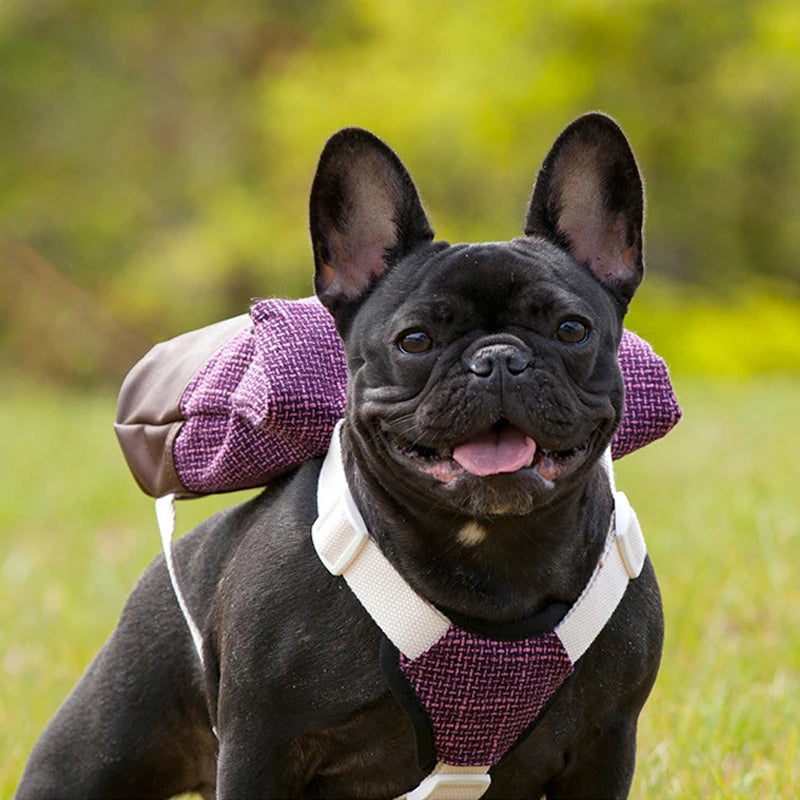 Puppy Backpack Breathable